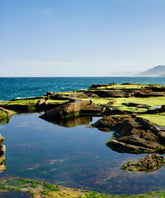 royal national park australian motorcycle tours and rentals xpert moto