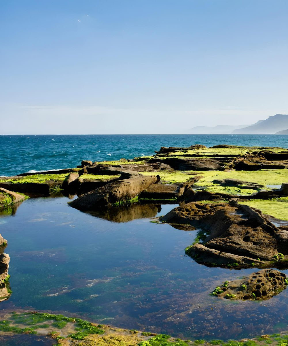 royal national park guided motorcycle tours australia