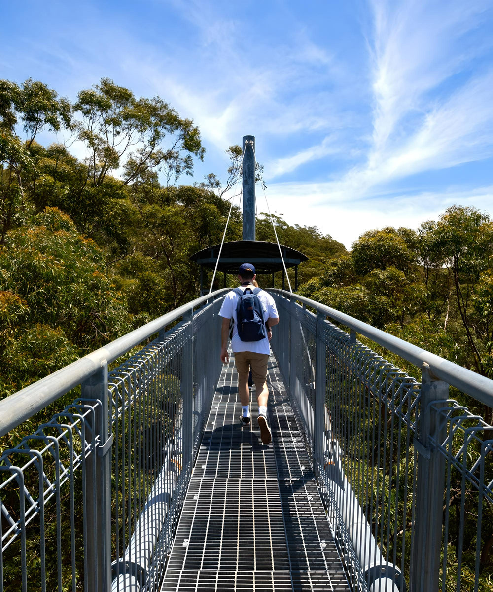 illawarra loop australian motorcycle tours and rentals xpert moto