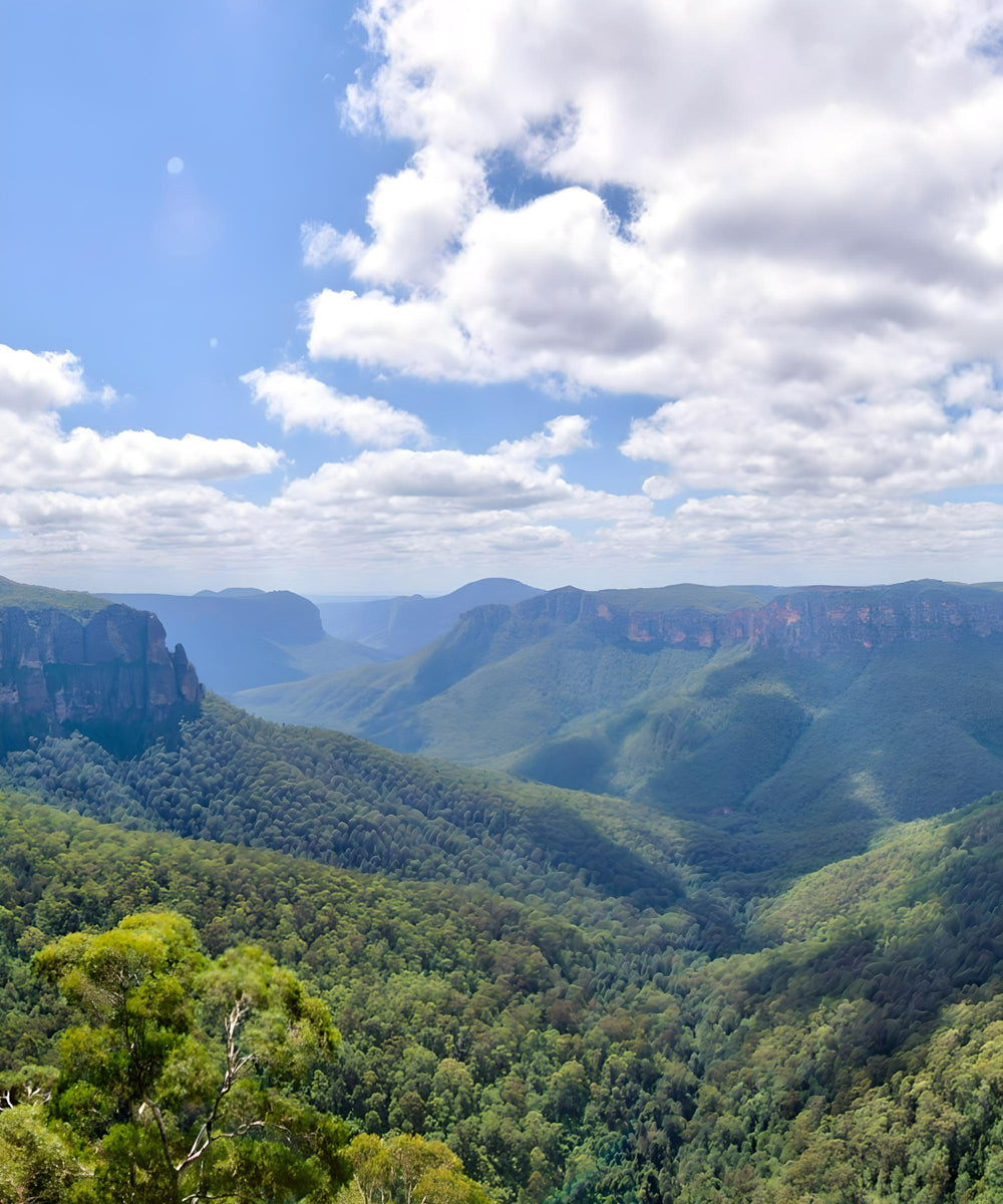 blue mountainstours motorcycle australia adventure