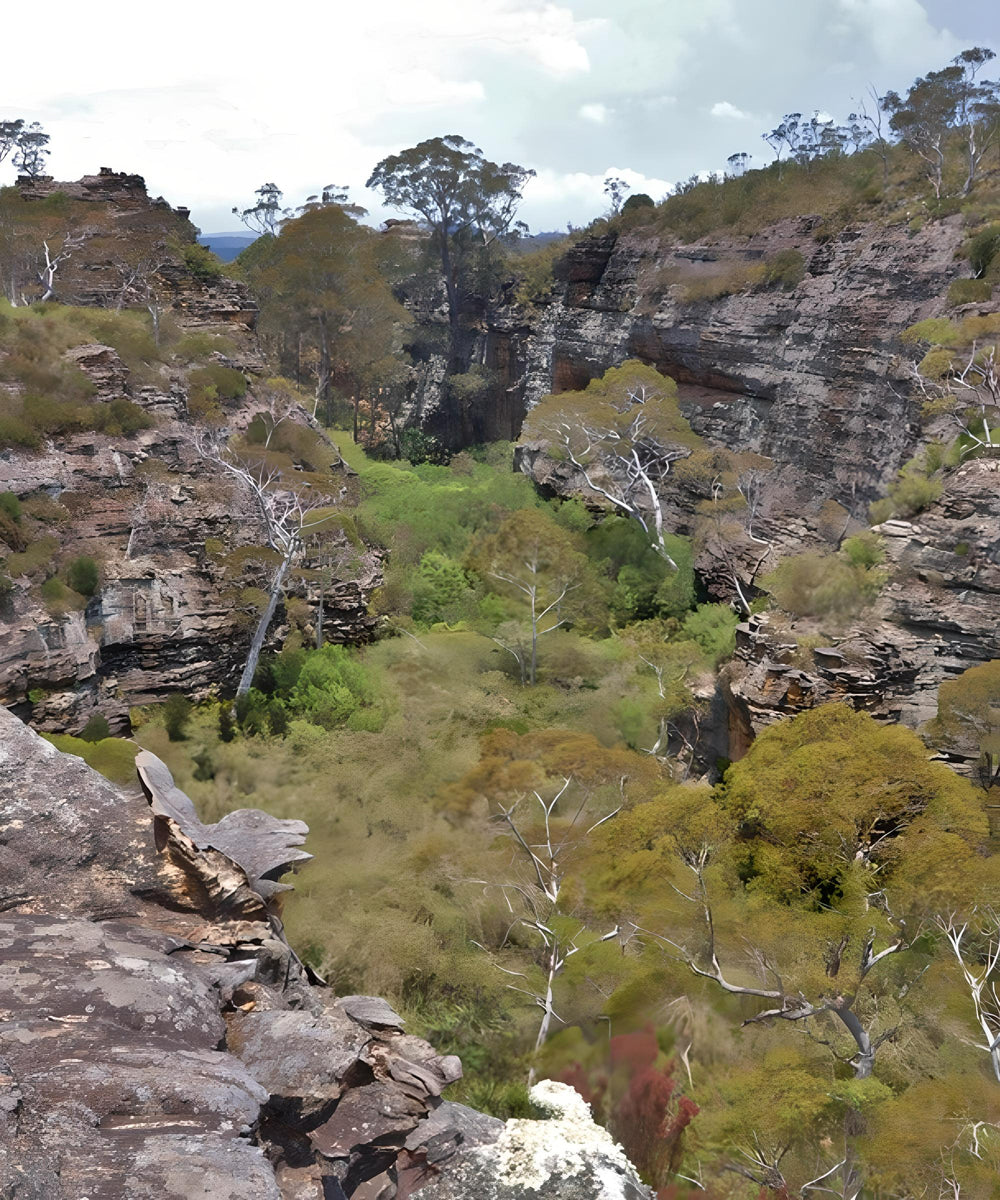 yengo national park motorcycle adventure tours australia